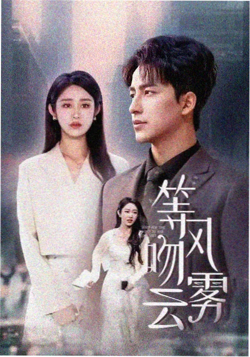 雾港档案 悬疑剧集磁力种子下载